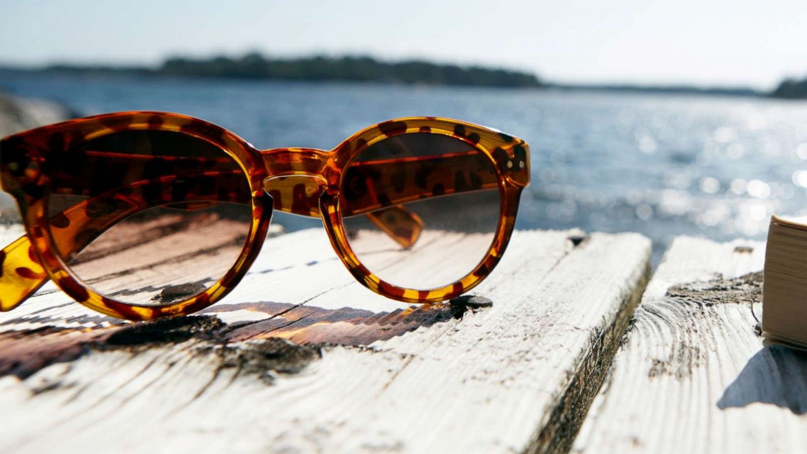 PHOTO: Sunglasses with a book.