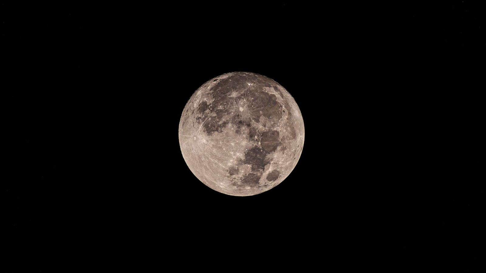 PHOTO: The ''Harvest Moon'' is seen through the gaps in the branches and leaves of the trees in a forest at Tehatta, India on Sept. 29, 2023.