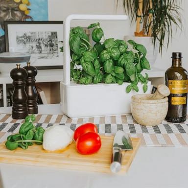 PHOTO: Sur La Table