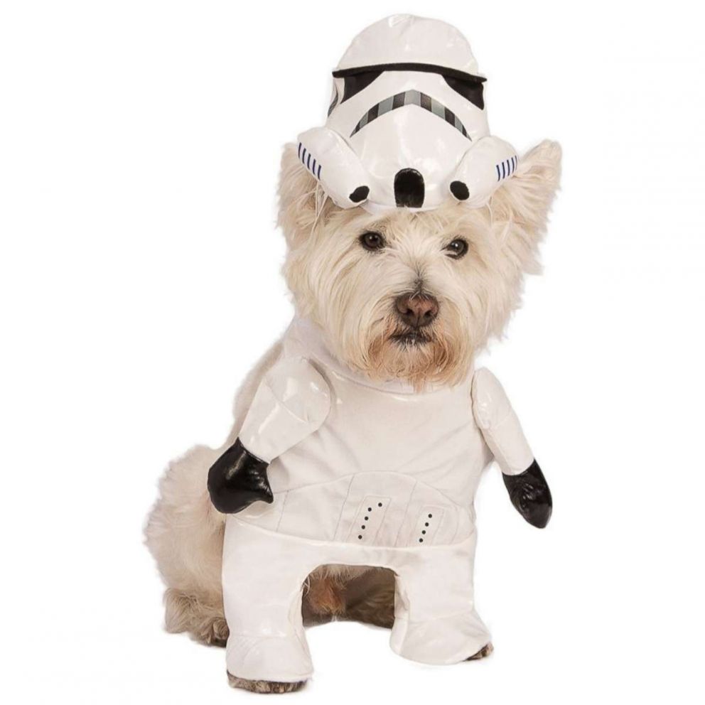 PHOTO: Star Wars Stormtrooper Pet Costume