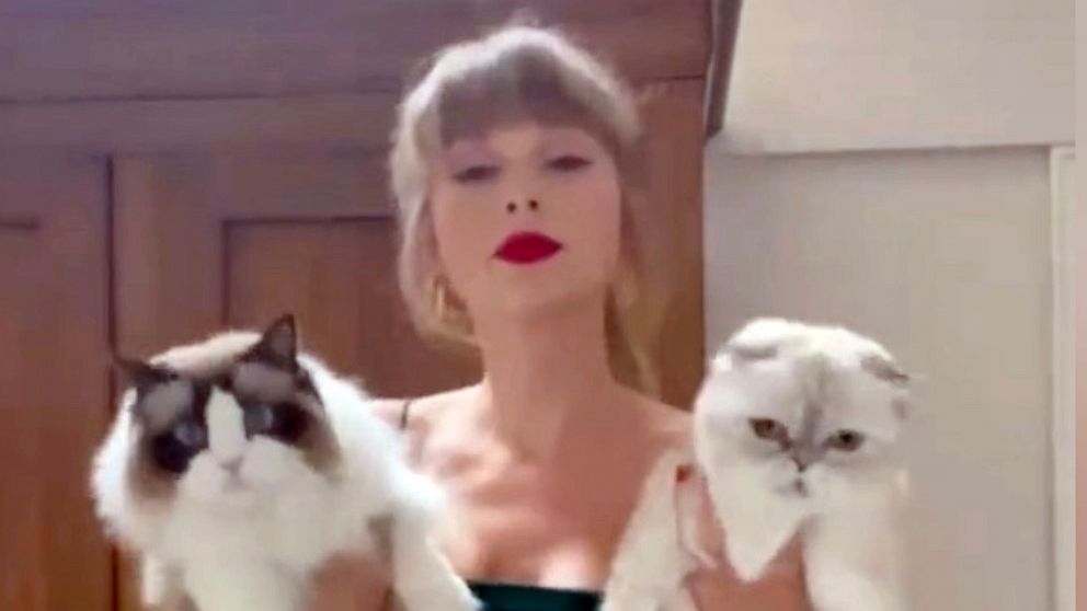 PHOTO: Singer Taylor Swift appears with cats in a video posted to her TikTok account on Aug. 25, 2021.