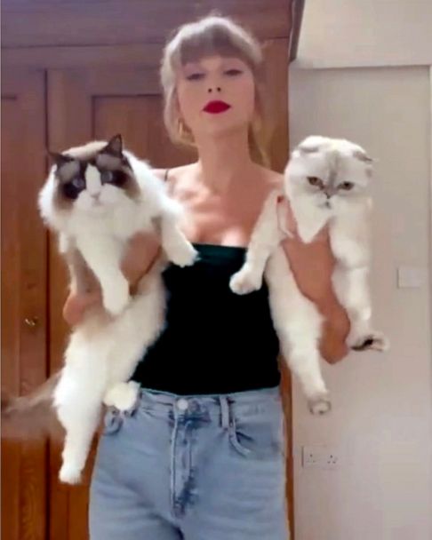 Taylor Swift admits she's a proud 'cat lady' in hilarious new TikTok | GMA