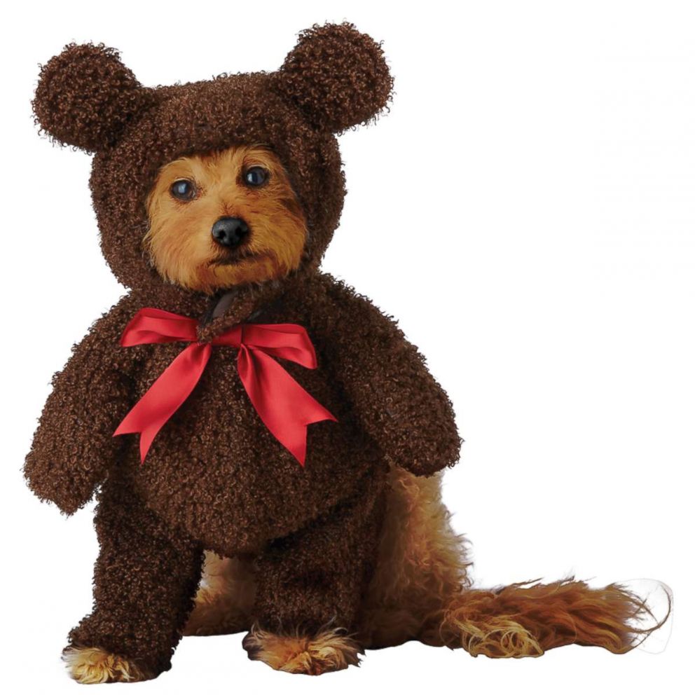 PHOTO: Teddy Bear Pup Pet Costume