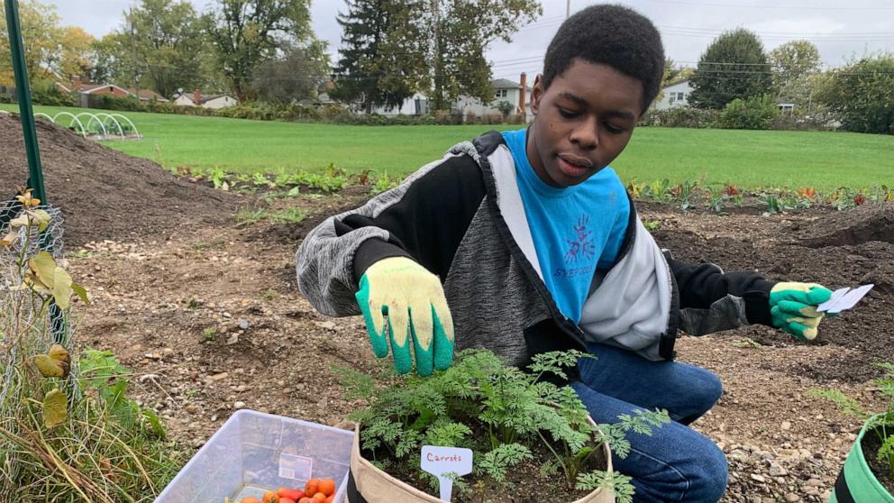 PHOTO: Te'Lario Watkins II tends to carrots in a vegetable garden for his nonprofit, The Garden Club Project.
