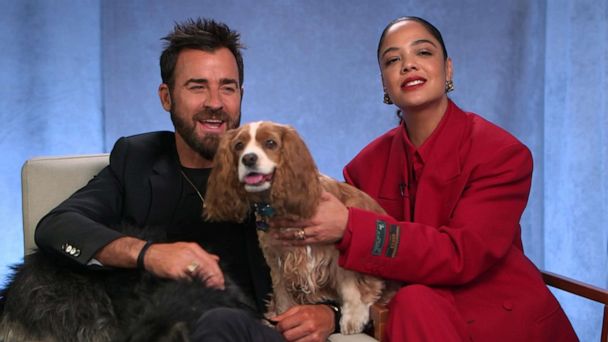 Stars Tessa Thompson Justin Theroux On Disney S Lady And The Tramp Live Action Remake Good