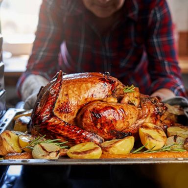 https://s.abcnews.com/images/GMA/thanksgiving-turkey-stock-gty-jef-221027_1666904333246_hpMain_1x1_384.jpg