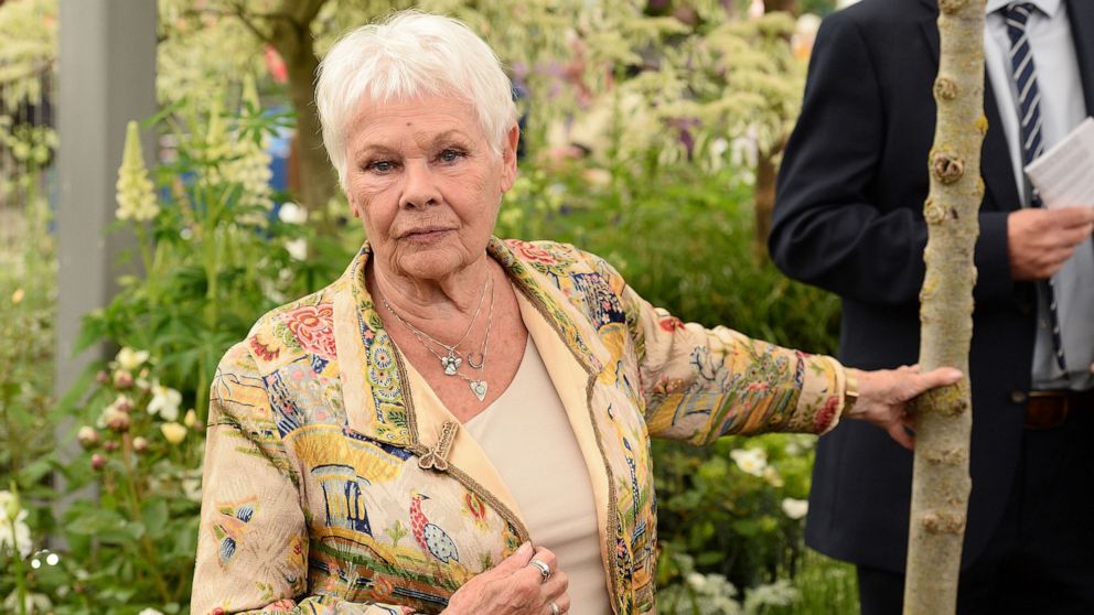 PHOTO: Dame Judi Dench attends the RHS Chelsea Flower Show at the Chelsea Flower Show in London on May 20, 2019.