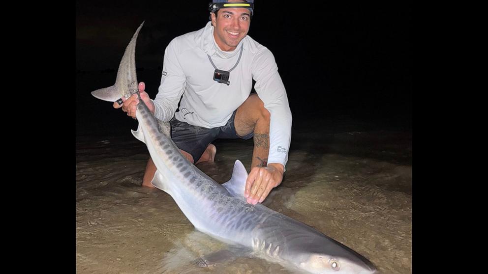 PHOTO: This tiger shark was caught off Cape Cod, Massachusetts.