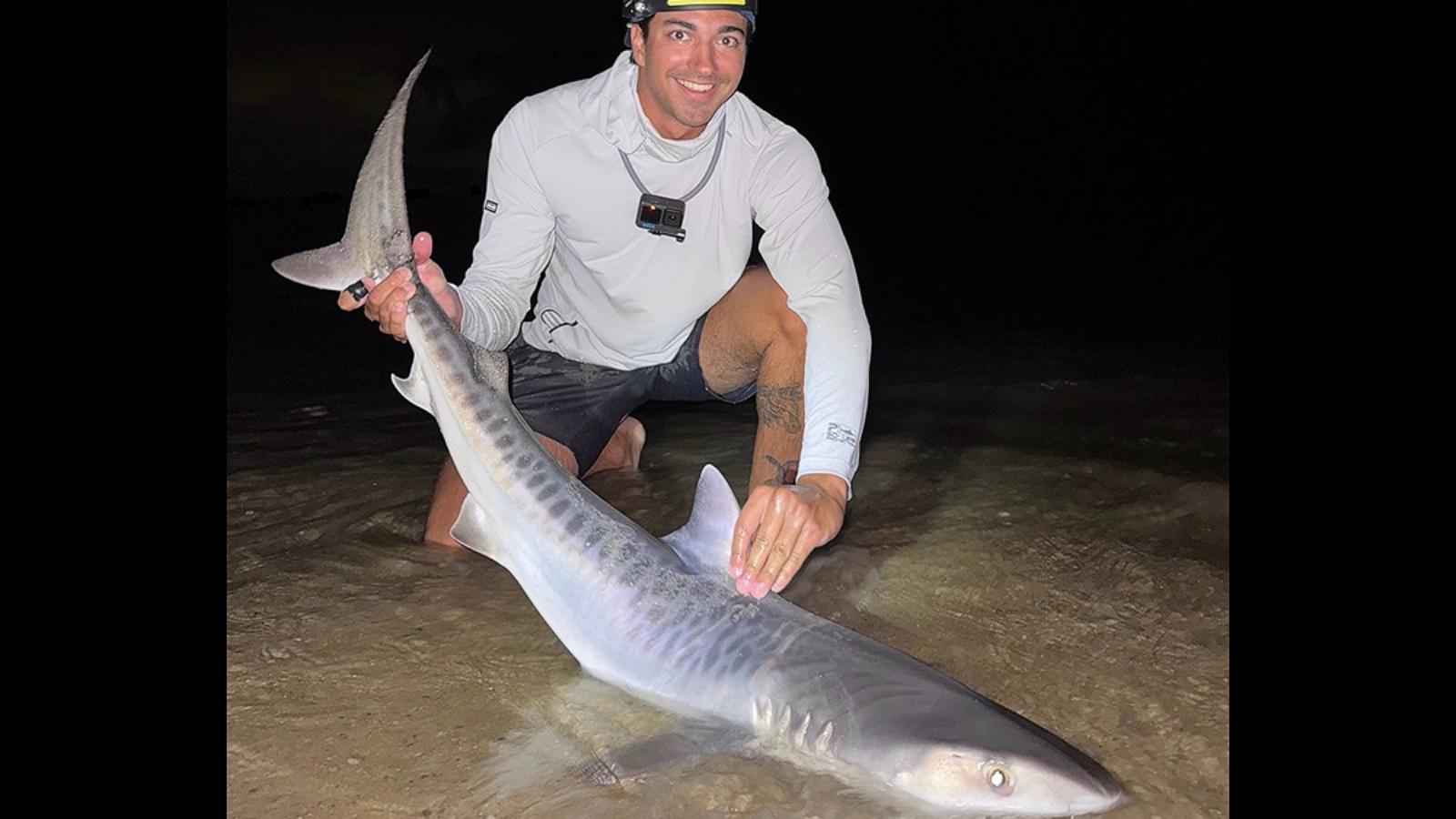 PHOTO: This tiger shark was caught off Cape Cod, Massachusetts.