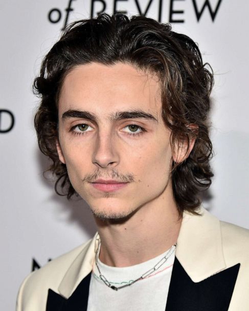 timothée chalamet wearing earrings, aka my favorite combo in the whole  world