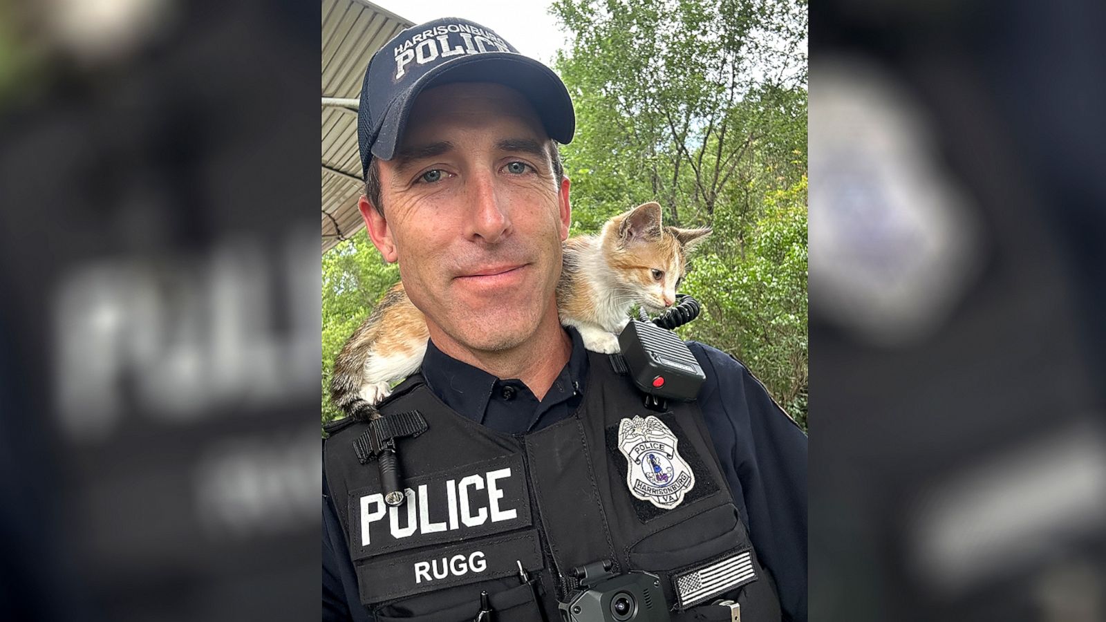 Police officer rescues cat running loose on bridge