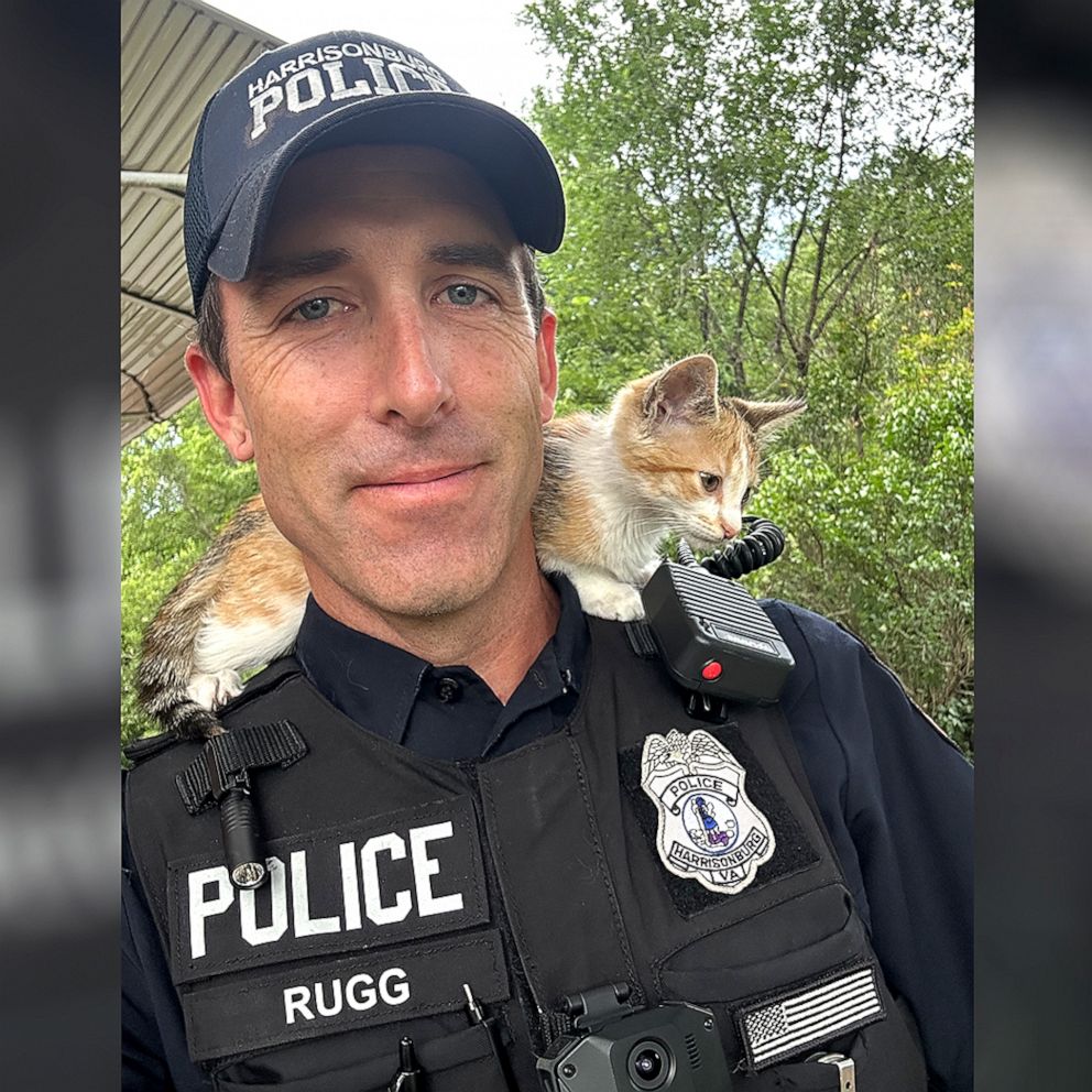 VIDEO: Police officer adopts kitten 'thrown from window' who clung to his shoulders