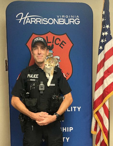 Kitten adopted by Charleston police officer who saved her from car