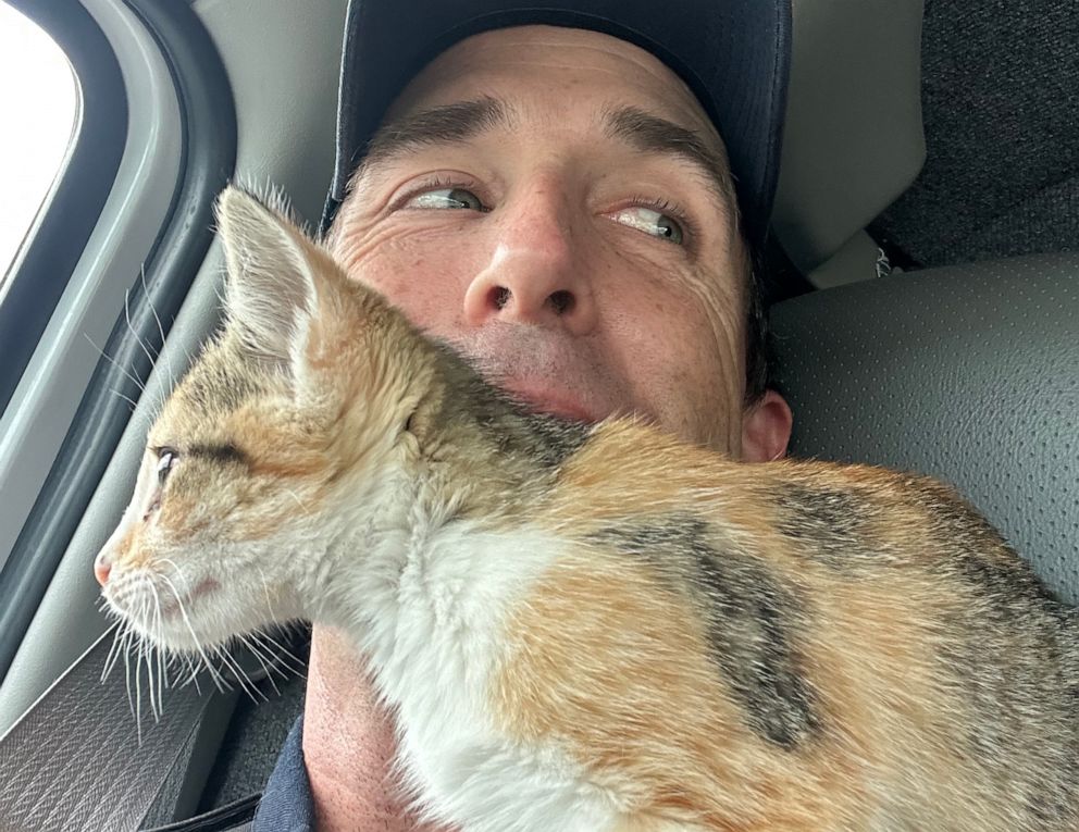 Police officer to adopt kitten who was thrown out of car window