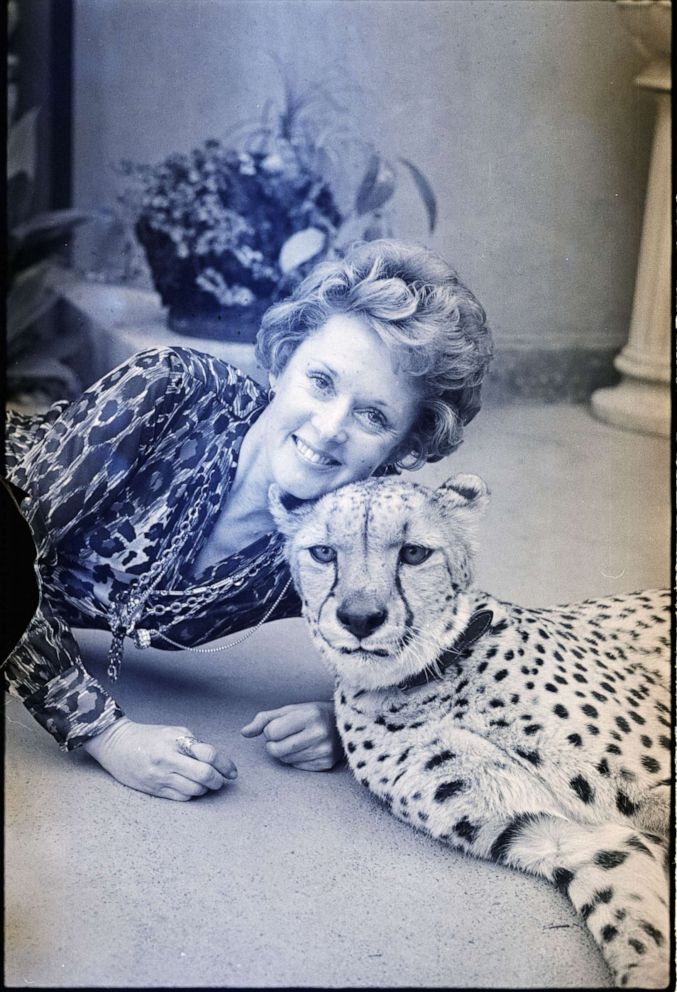 PHOTO: In this undated file photo, actress Tippi Hedren poses with "Kenya," a playful, fully grown cheetah.