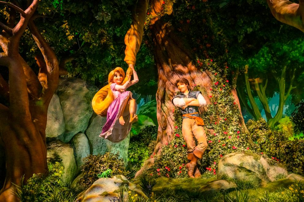 PHOTO: A look at the new Rapunzel's Lantern Festival attraction at Tokyo DisneySea Park.