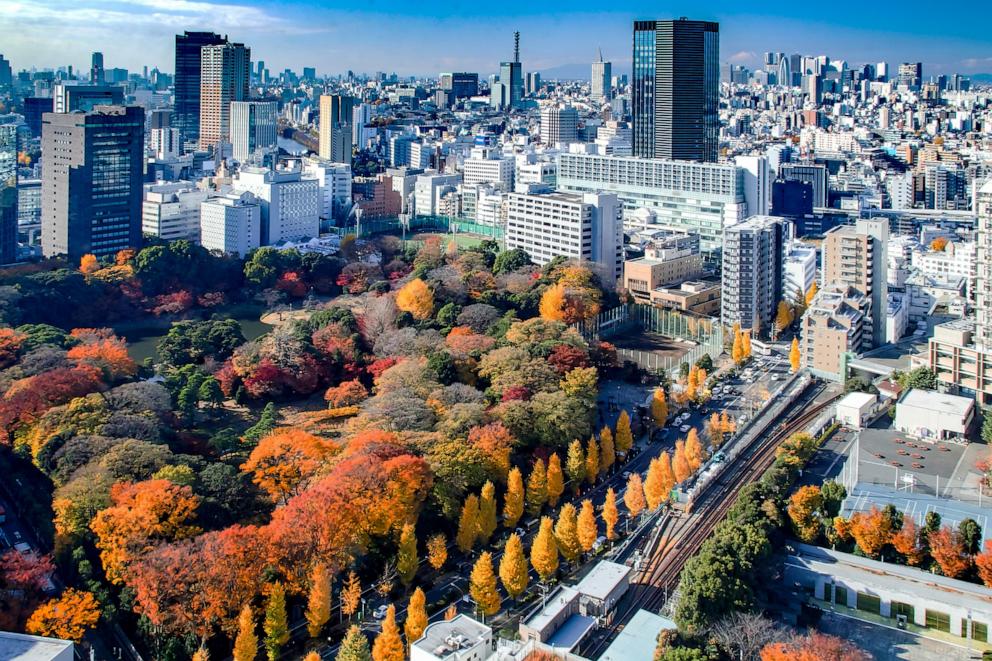 PHOTO: Tokyo city view