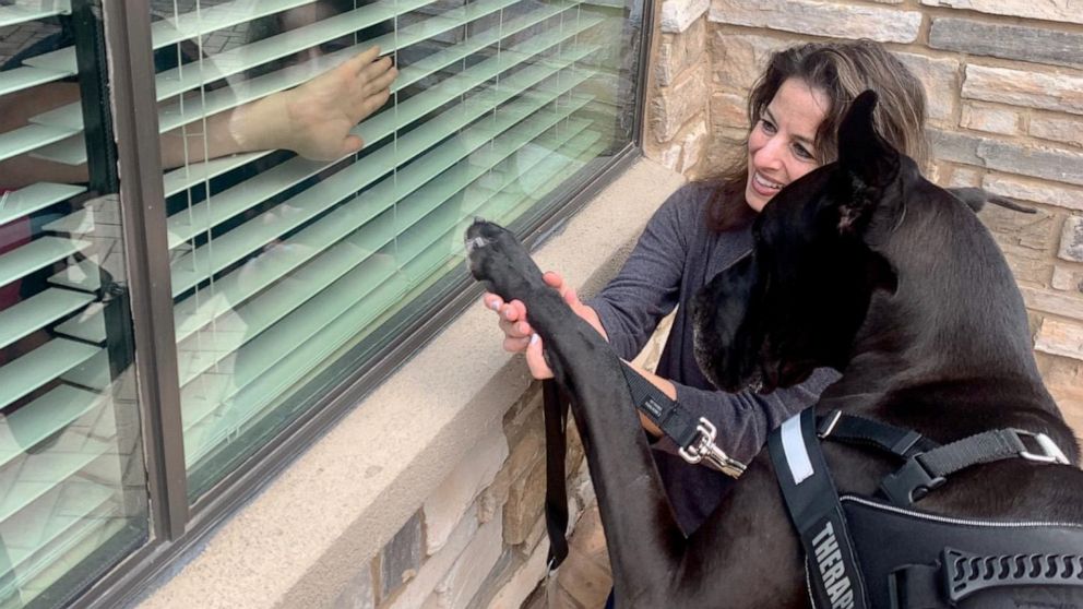 PHOTO: Courtney Leigh takes her Great Dane Tonka to visit residents of Cedar Pointe Health & Wellness Suites on March 17, 2020, in Cedar Pointe, Texas.