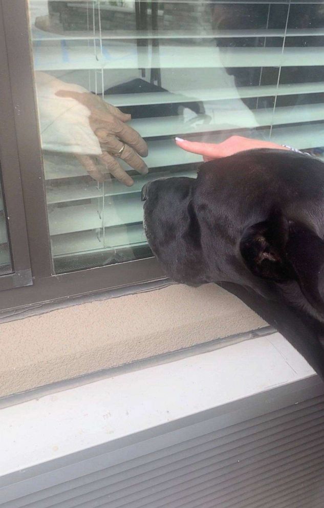 PHOTO: Courtney Leigh takes her Great Dane Tonka to visit residents of Cedar Pointe Health & Wellness Suites on March 17, 2020, in Cedar Pointe, Texas.