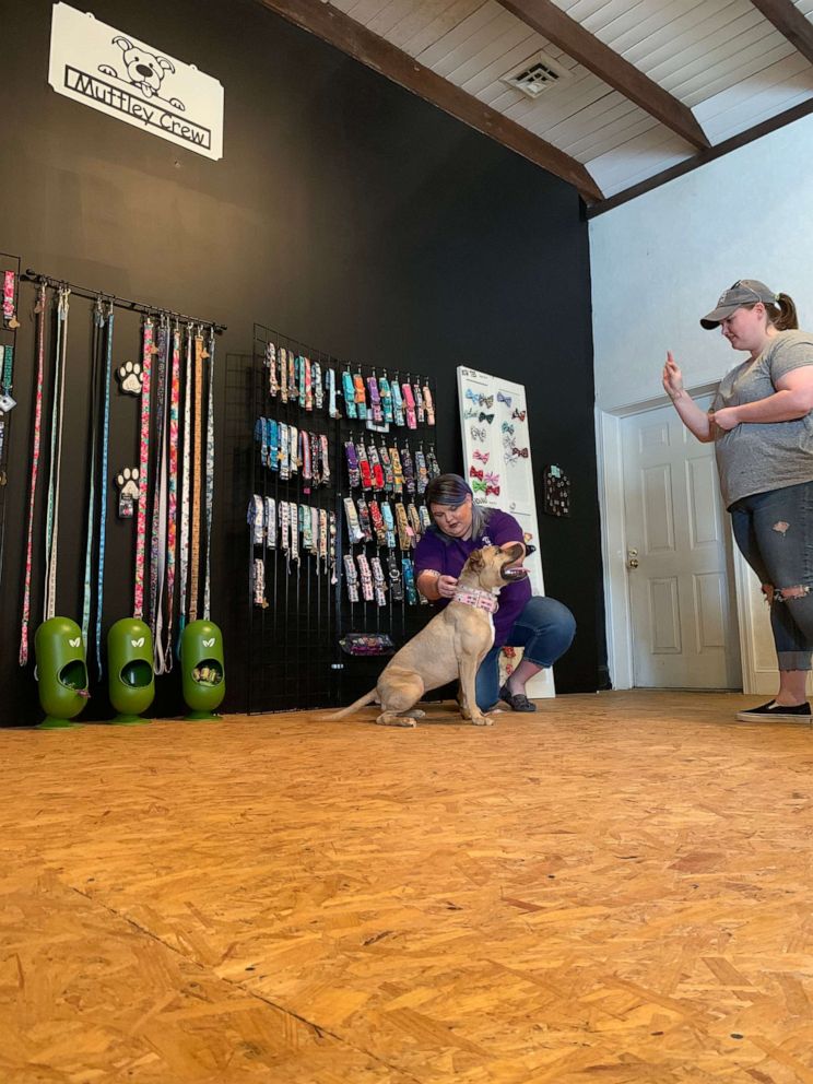 PHOTO: Tosha Aldridge, a former board member of the Alliance of Therapy Dogs, outfits a dog in her pet boutique, Muttley Crew, in Rocky Mount, N.C.