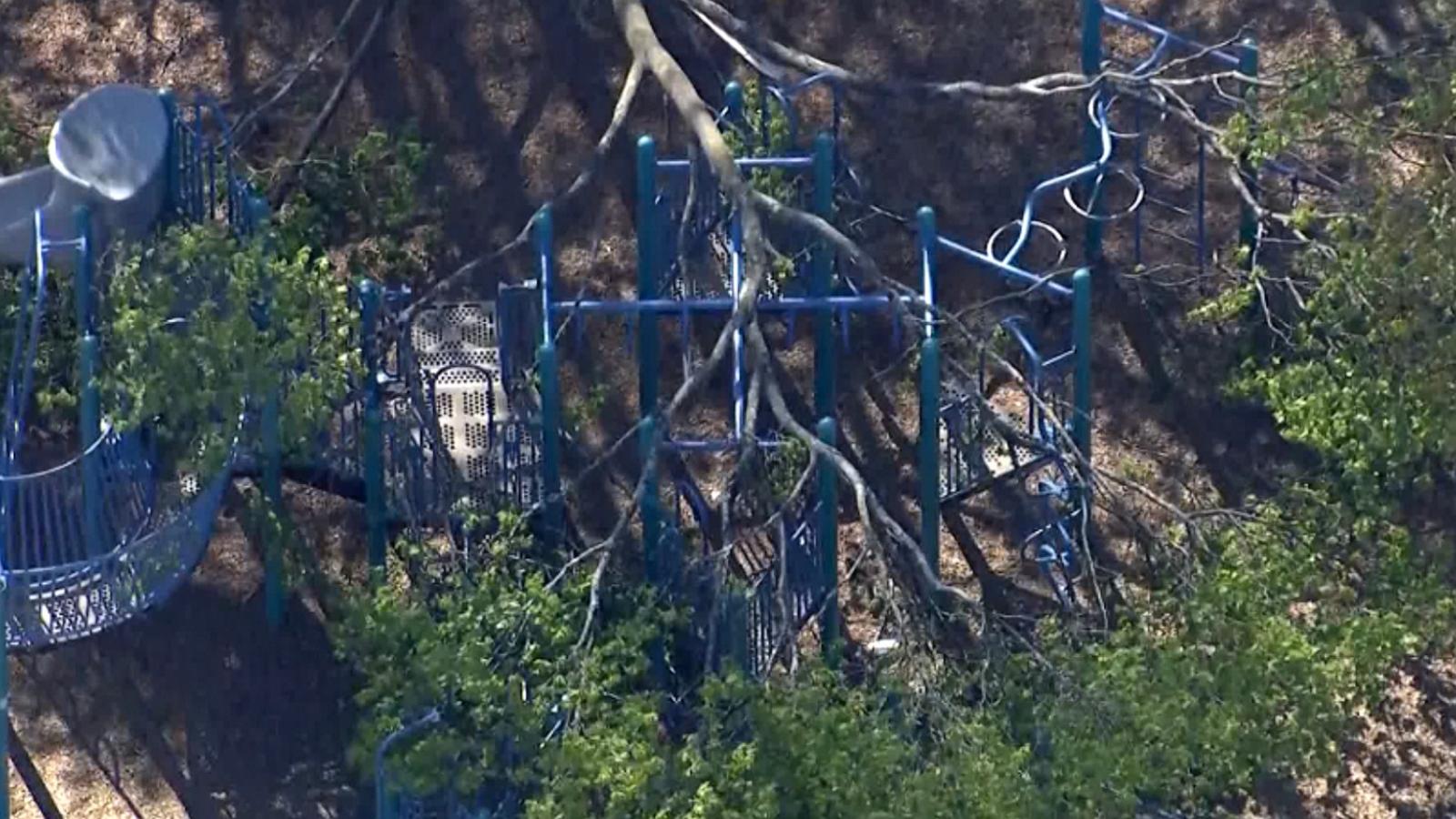 PHOTO: Three people, including two children, were injured after a tree fell on a playground at a school in Melrose, Mass., on May 4, 2026.