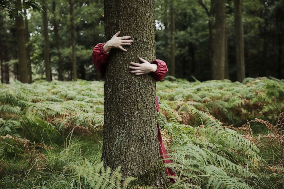 PHOTO: Stock photo of a young girl hugging a tree.