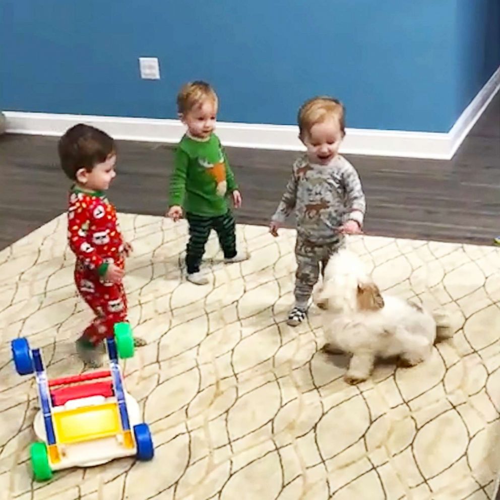 VIDEO: Triplets chasing their pup is your daily dose of happiness