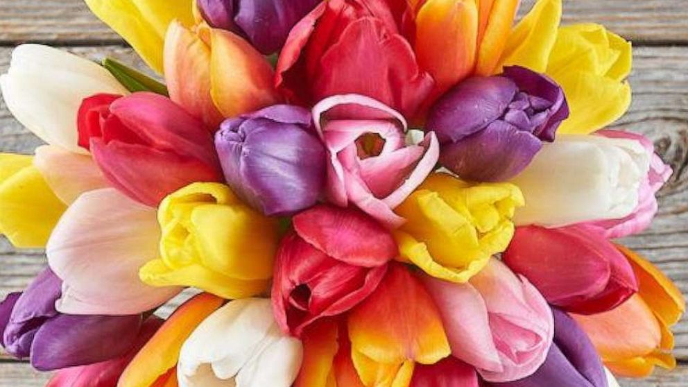 PHOTO: Rainbow tulip bouquet from The Bouqs.