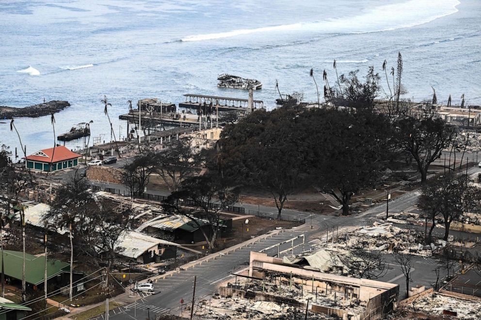 PHOTO: An aerial image taken on Aug.10, 2023 shows the historic Banyan tree and destroyed buildings burned to the ground in Lahaina in the aftermath of wildfires in western Maui, Hawaii.