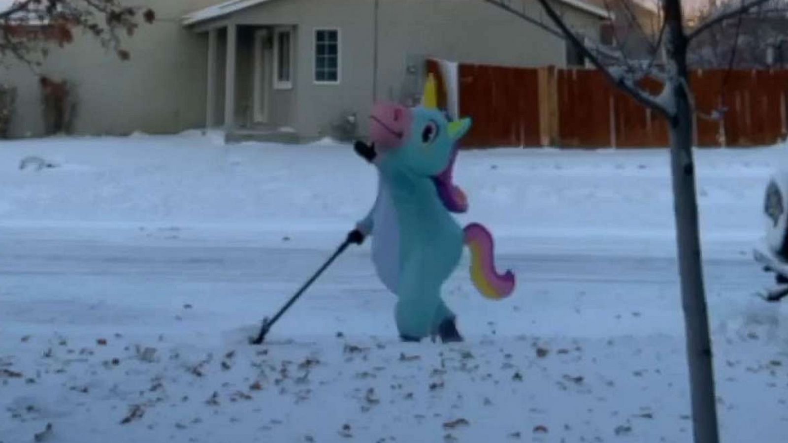 PHOTO: Button's 25-year-old daughter dared her to shovel snow dressed as a unicorn.