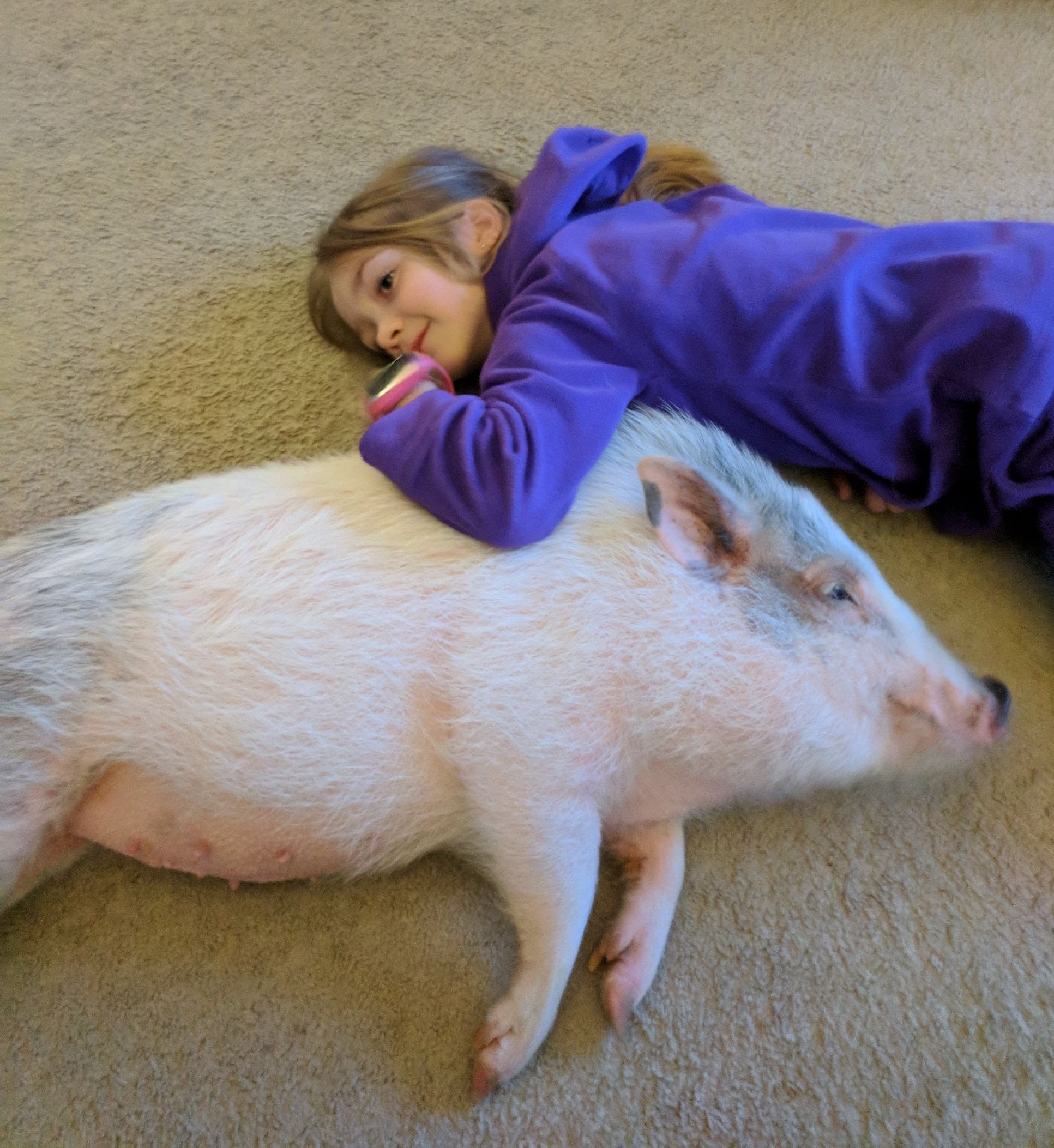 PHOTO: A 9-year-old named Alaina Holdread of Highland, Michigan, is aiming to save the lives of pigs after learning its common for owners to surrender them as pets. 