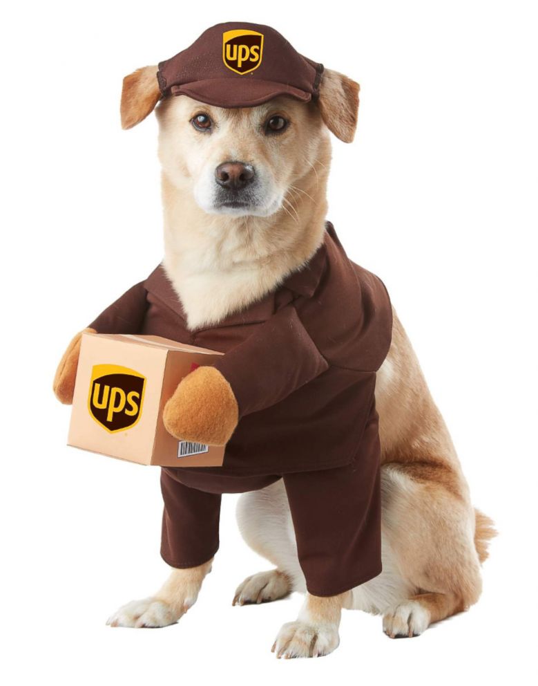 PHOTO: UPS Pal Dog Pet Costume