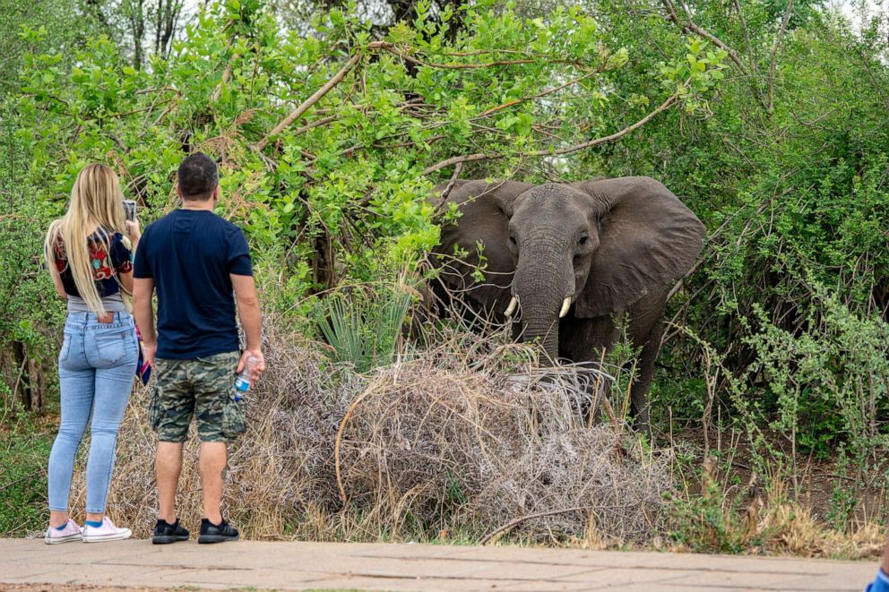 PHOTO: Tourists take a picture of an elephant near the majestic Victoria Falls, Zimbabwe, Victoria Falls, Nov. 13, 2019.