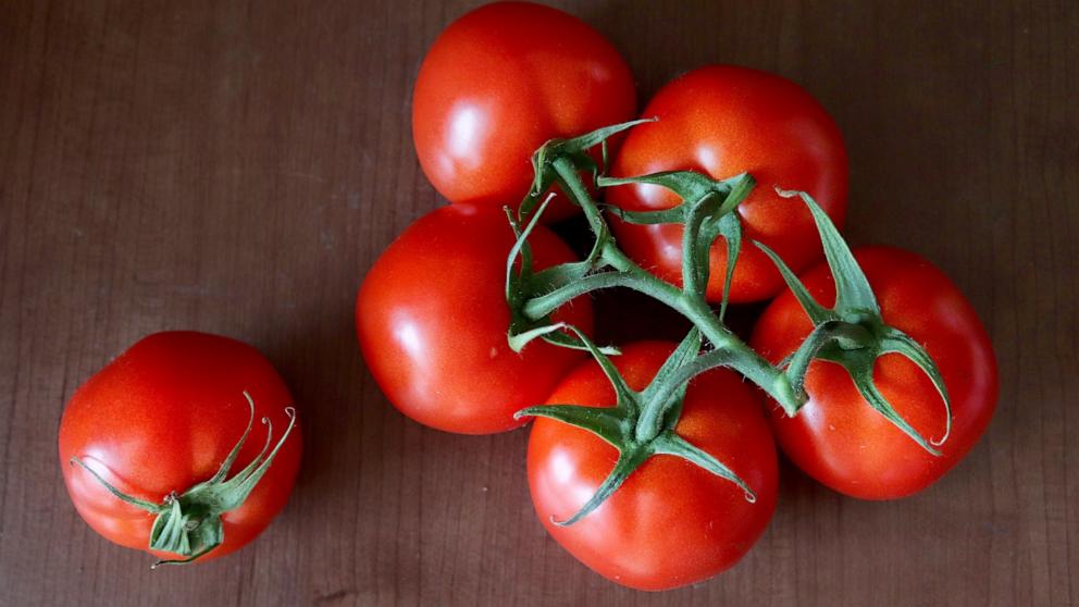 PHOTO: Tomatoes on the vine.
