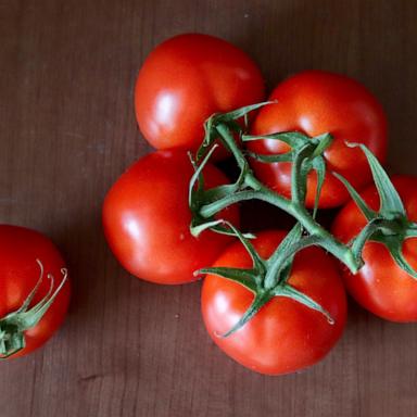 PHOTO: Tomatoes on the vine.