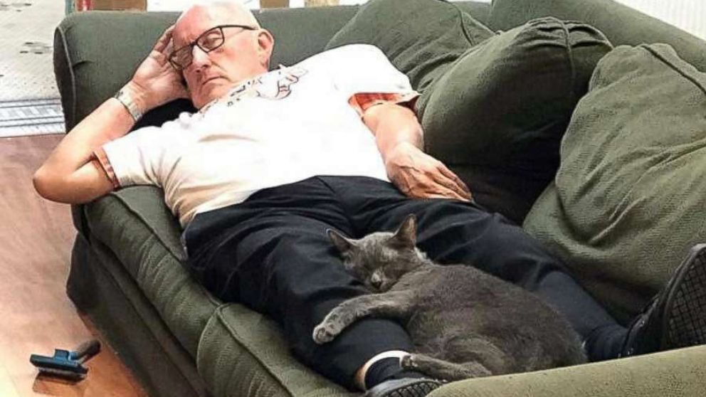 PHOTO: A volunteer takes a nap with a cat at the Safe Haven Pet Sanctuary in Green Bay, Wis.