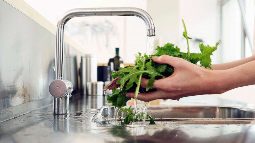 PHOTO: Lettuce is washed in this undated stock photo.