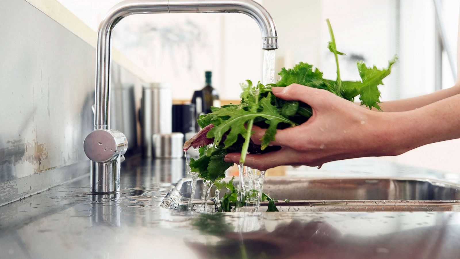 PHOTO: Lettuce is washed in this undated stock photo.