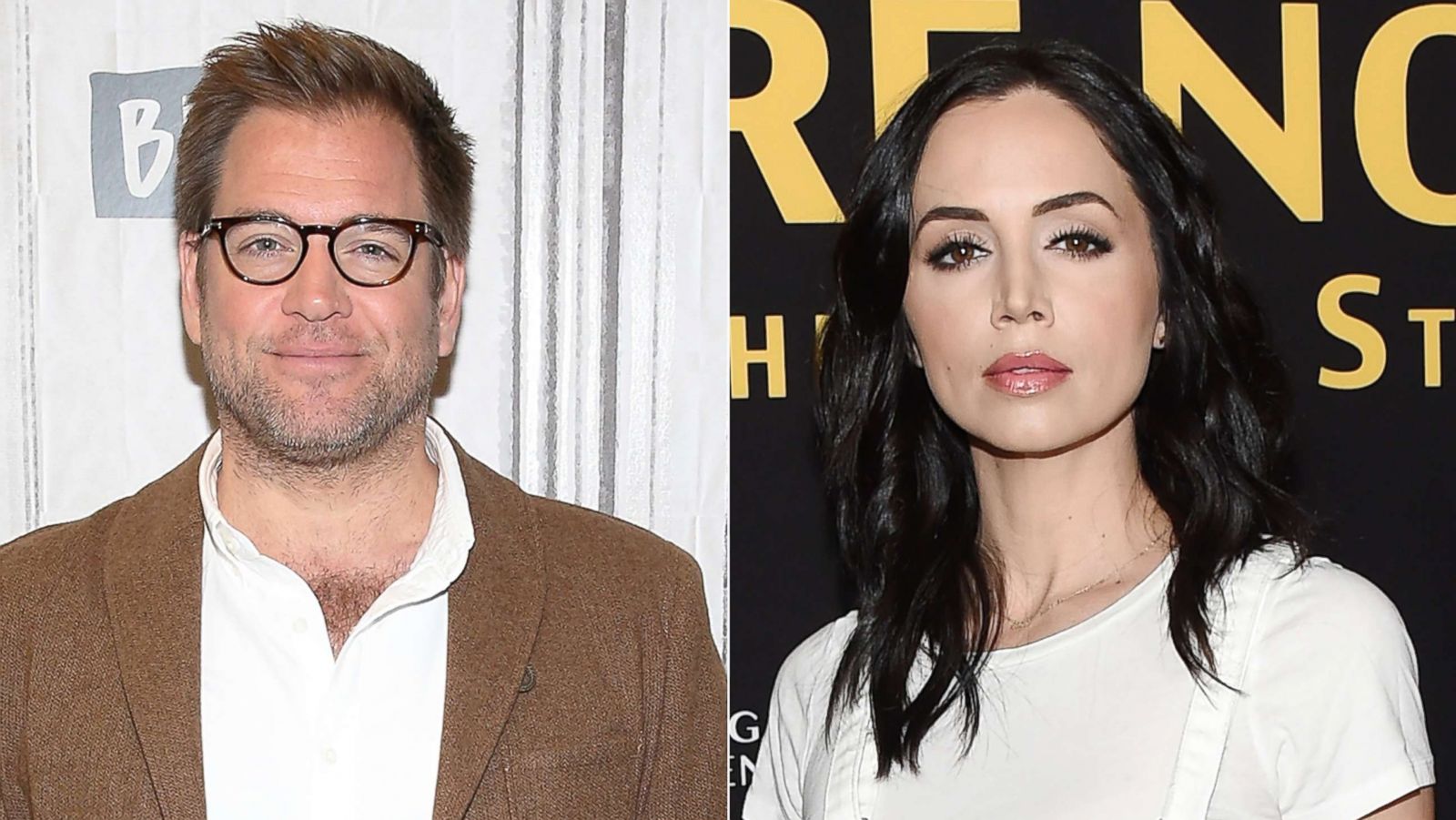 PHOTO: Michael Weatherly is pictured on Sept. 26, 2017, in New York City.|Eliza Dushku attends an event on April 5, 2016, in Los Angeles.