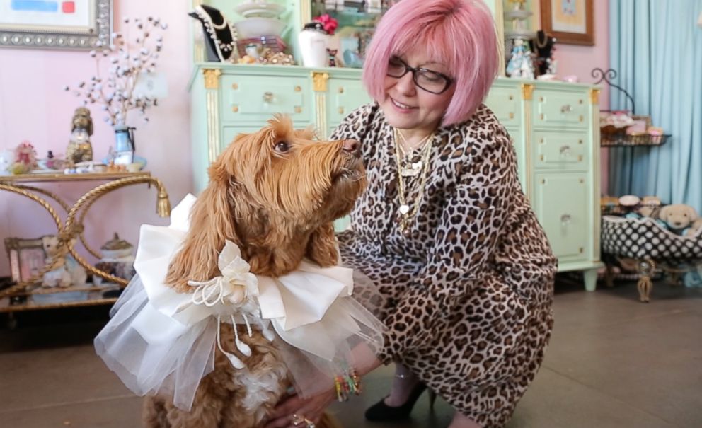 PHOTO: Costume designer Yana Syrkin created this fabric collar for a dog to wear at a wedding.