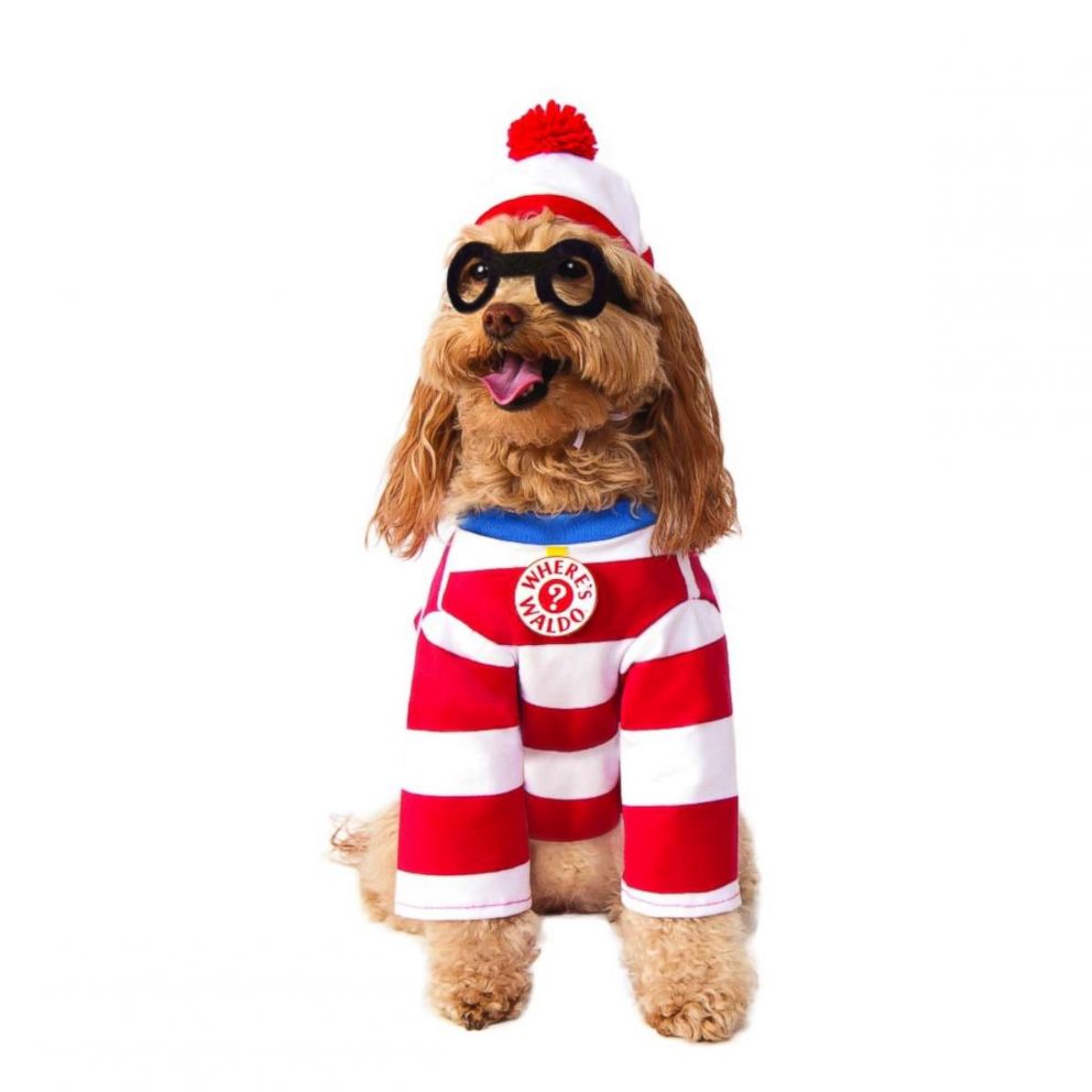 PHOTO: Where's Waldo Pet Costume