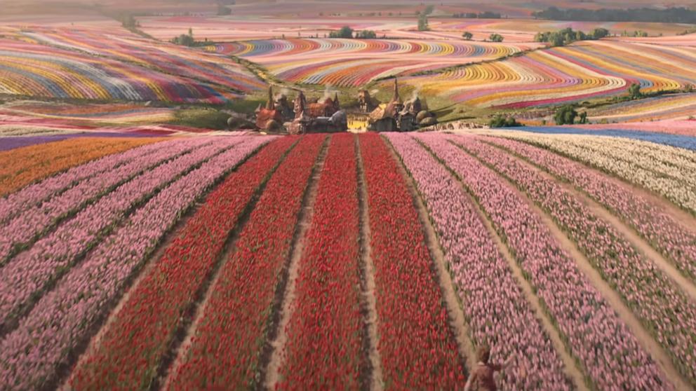 PHOTO: A tulip field is seen in a still from the trailer for the film "Wicked."