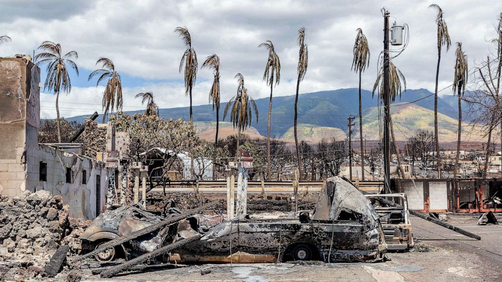 PHOTO: Burned palm trees and destroyed cars and buildings in the aftermath of a wildfire in Lahaina, western Maui, Hawaii, Aug. 11, 2023.
