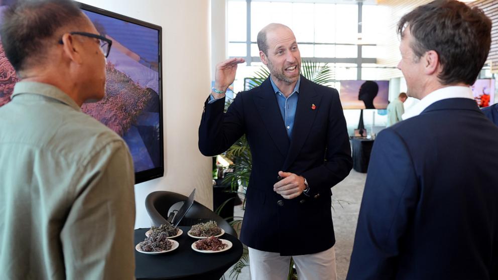 PHOTO: Prince William, Prince of Wales laughs at Portside Tower on Nov. 7, 2024 in Cape Town, South Africa. 