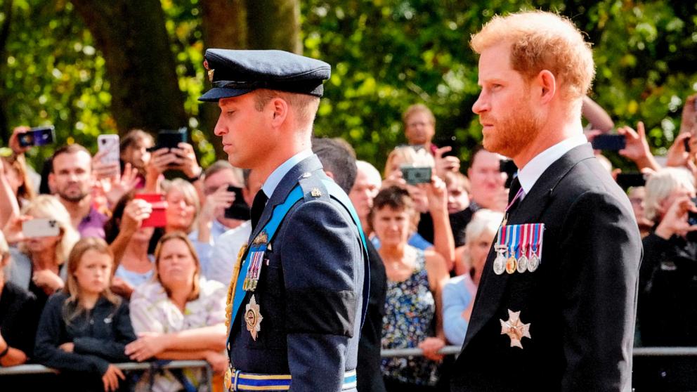VIDEO: New book sheds light on royal rift between Princes William and Harry