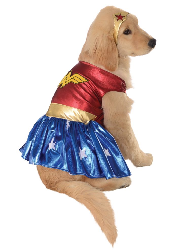 PHOTO: Wonder Woman Pet Costume