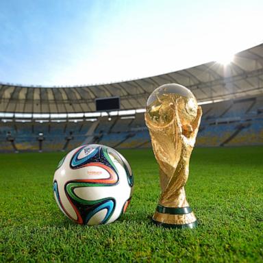 PHOTO: FIFA World Cup Trophy