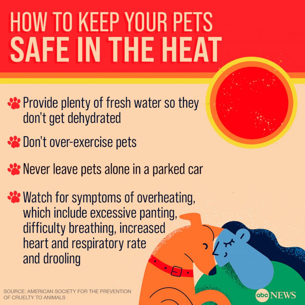 Heat stroke vs. heat exhaustion: Extreme heat safety tips - Good ...