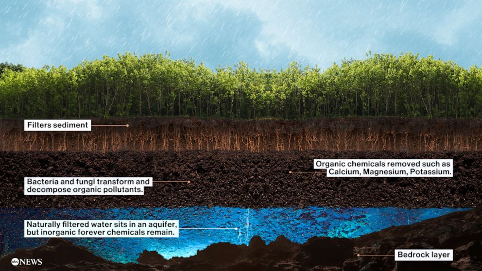 FOTO: Wasser wird auf natürliche Weise durch die Zusammensetzung des Bodens gereinigt, während es sich unter die Erdoberfläche bewegt.  Oft werden künstliche Chemikalien in diesem Prozess nicht gefiltert.
