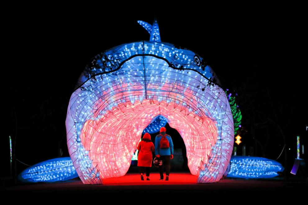 PHOTO: A couple visit the "Shining a light on species" exhibition in the Jardin de plantes garden in Paris, Dec. 18, 2018.